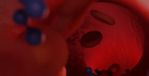 3D Medical Biology Animation