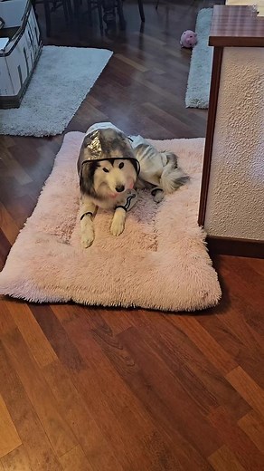 #oanașilunaforyou #viațaculuna #lunanuecâine @Lunica @Luna&Oana