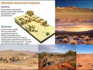 Diversitatea peisajelor terestre - lecție de geografie - Terra - elemente de geografie fizică