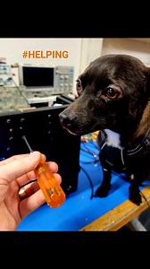 Daniel Wright on Reels