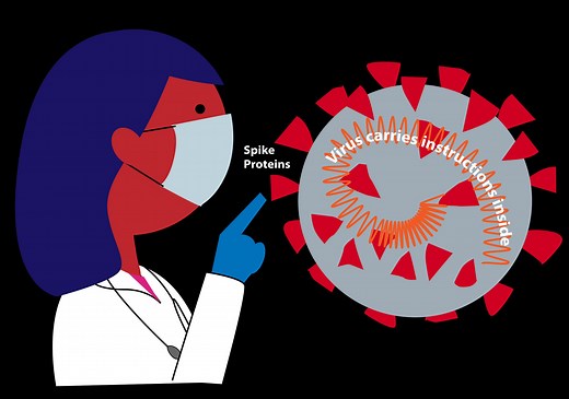 Infographic for kids: Anatomy of the coronavirus