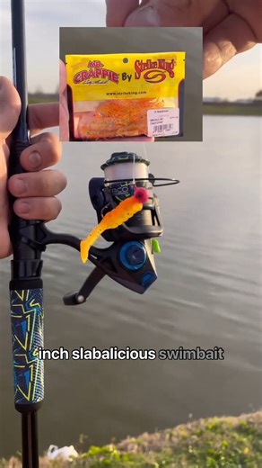 2.7K views · 66 reactions | The new Zebco Roam Spinning combo is ALWAYS putting in the work!  : @yeezyfisherman #ZebcoFishing #ZebcoRoam #Zebco #Fishing #GetOutdoors | Zebco | Facebook