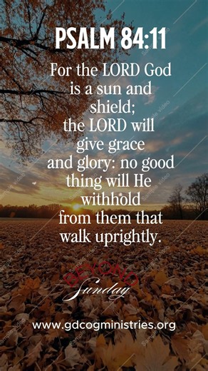 No Good Thing Withheld | Psalm 84:11