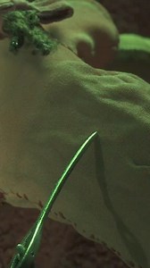 Other Mother is stitching together a friendly reminder that tickets for #Coraline3D go on sale June 21. Learn more at Coraline.com. #NationalSewingDay #ASMR | Quilt Patterns PDF