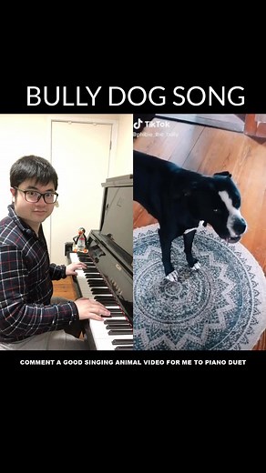Bully Dog Piano Duet: Epic Fanfare Performance