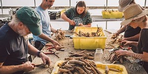 The Secret to Digging Dahlias Before Frost - Fruition Seeds