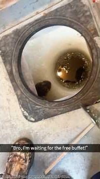 Ice fishing is where you might pull up anything but fish...#fishing #fish #icefishing #funny #fyp