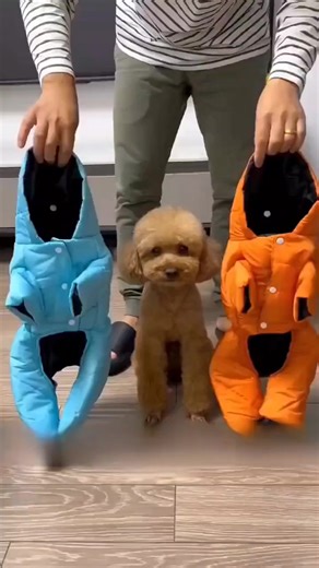 ❄️Warme, winddichte winterkleding voor honden🐕 Waarom zijn ze zo populair? 🔥 Ze beschermen tegen kou en wind, zelfs bij de strengste vorst – uw huisdier blijft warm tijdens elke wandeling. 💛 Zachte, comfortabele binnenkant – zorgt voor comfort en irriteert de huid van uw hond niet. 🦮 Perfecte pasvorm – de flexibele snit beperkt de bewegingsvrijheid niet, zodat uw hond gewoon kan rennen en spelen. 🌧️ Bescherming tegen sneeuw en vocht – ideaal voor de late herfst en winter. 👌 Gemakkelijk aan