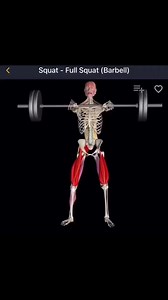 Fitness First Gym on Reels