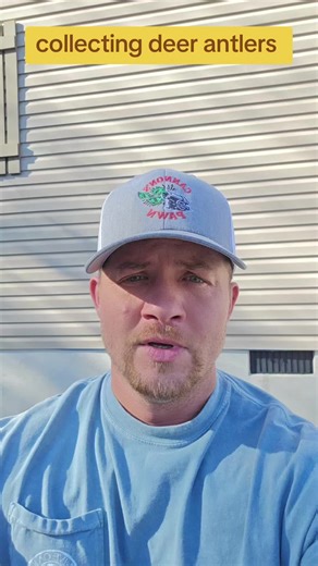 The Art of Collecting Deer Antlers