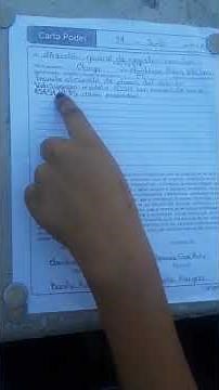 Tutorial de como llenar una carta poder y que contiene.