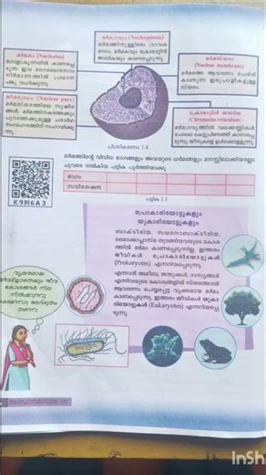 psc scert basic science unit 1