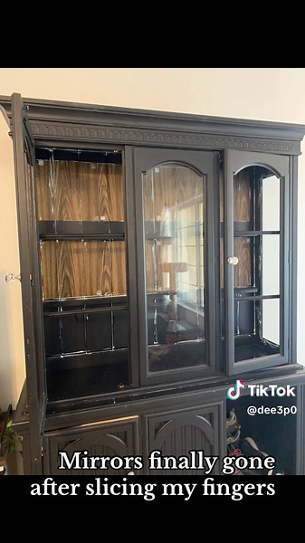 Turning a free cabinet into a gigantic snake enclosure for my corn snake Sketty #reptile #snakepets #tank #DIY