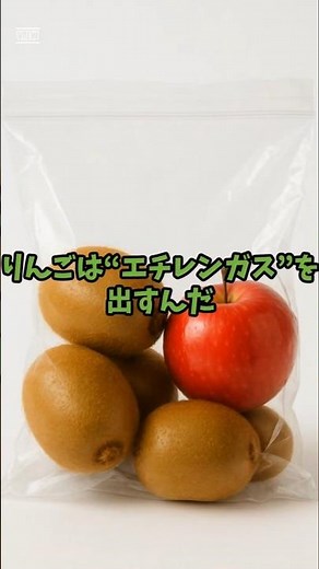 【裏ワザ】リンゴと一緒に入れるだけ！キウイが甘くなる秘密🥝🍏#キッチン雑学 #フルーツ保存 #キウイ #りんご #エチレン #追熟 #知らなきゃ損 #時短テク #ai #aiアニメ