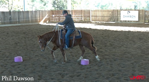 Great neck reining exercise for all aged horses and riders! “Smooth is fast, fast is smooth” says Phil Dawson, as he demonstrates a great drill you can do at home to improve your neck reining, illustrating: * Why momentum and feet are crucial * Why it’s good to do this on a green horse. * Your hand must point forward. * Your focus point is the direction you’re going. * Your hand gives the direction you want to go with your feet riding them there. * When to use your left foot, right foot and then