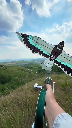 Kite flying tips: How to fly a kite and enjoy freedom outdoors