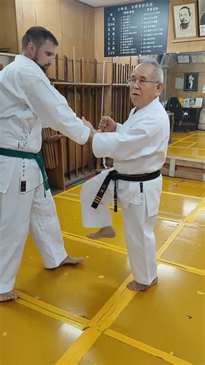 block punches with the hand while simultaneously protecting leg or shin / Uechi ryu karate kumite