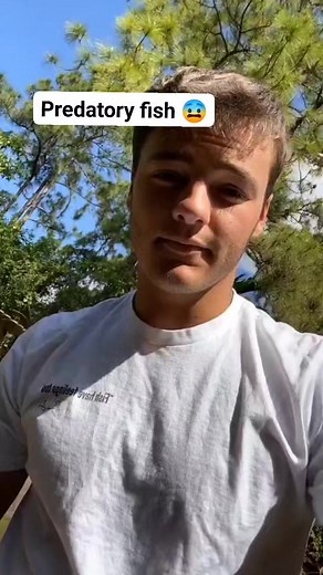 29K views · 1.2K reactions | Feeding monster predatory fish!  #feeding #fish #monster #predator #viral #reels | Paul Cuffaro | Facebook