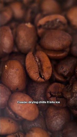 Instant Coffee's Secret: How Is It Really Made? #bitebureau #coffeescience