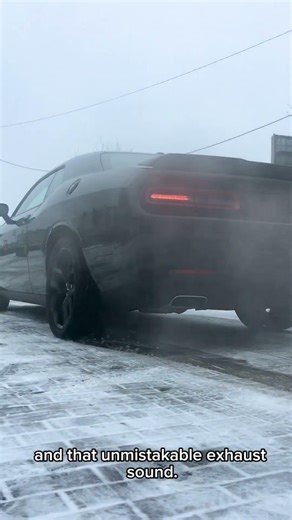 Mustang vs Dodge — Which Would You Choose?