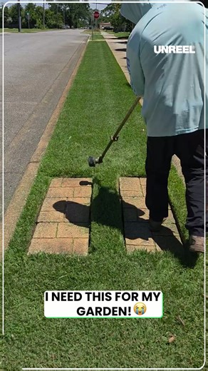 Mastering the art of car wrapping: Transform & protect your ride!