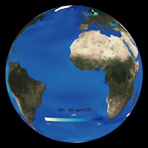 8.7K views · 231 reactions | The pH of the open ocean is relatively...