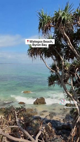 Top Beaches You Must Visit in Sydney and NSW
