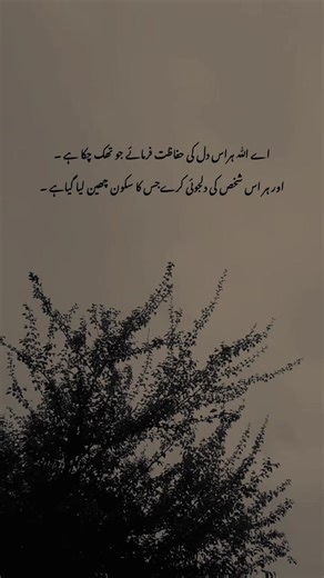 Understanding the Loss of Peace in Society