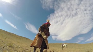 将GoPro装在鹰身上，第一视角展现鹰猎狐狸全过程。