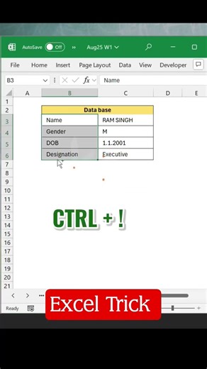 Excel Format Trick | Excel Tips and tricks #excel
