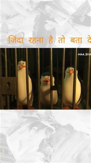 penguin aur octopus Deva private ki ladai