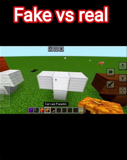 fake vs real in Minecraft
