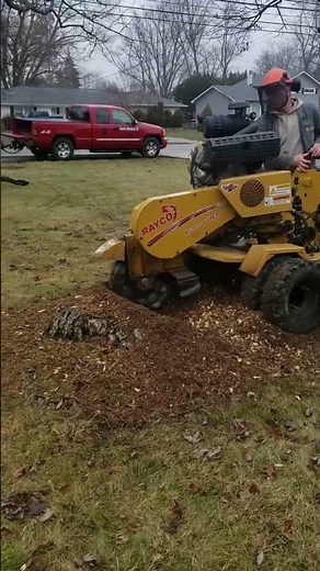 Simple Stump grinding