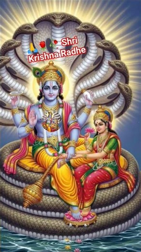 #Jay Radha Madhav Jay Kunj Bihari viral video 🌹🥀🌹