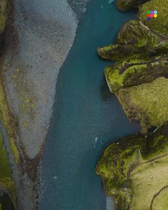 Meet C-FIBER™ Our latest innovation that turns nature into fabric 👕 with eucalyptus pulp from the 🌎 seaweed powder from the 🌊. | PANGAIA