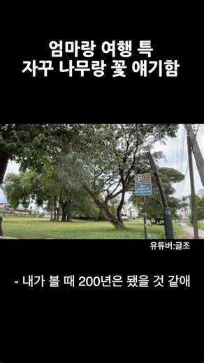 엄마랑 여행 특: 하루종일 나무랑 꽃 얘기 들어야함 ㅇㅈ? #치앙마이브이로그 #엄마 #엄마공감 #엄마랑여행 #엄마딸