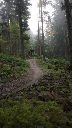 RAW MTB Trail Ride in St. Gallen Forest