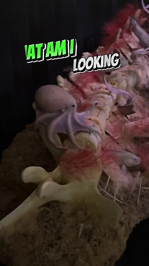 4.1K views · 36 reactions | Death: Life’s Greatest Mystery invites us to consider death as part of a process and not a fixed point. Learn about death through different biological processes and cultural rituals. Do you think death is the end? #death #spirituality #natureismetal #natureisamazing | Royal Ontario Museum | Facebook