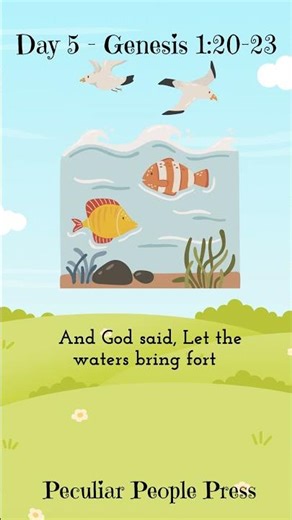 What God Created Each Day | The 7 Days of Creation