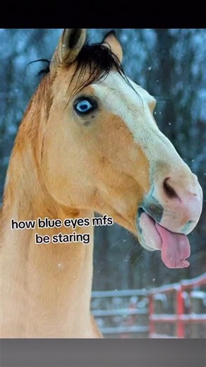 Uncrustamemes | 日本利用压电瓷砖将脚步转化为电能。这些瓷砖捕捉来自你脚步的动能。当你行走时，你的重量和动作会对瓷砖产生压力。瓷砖会轻微弯曲，从而产生机械应力。瓷砖内部的压电材料将这种应力转化为电能。每一步都会产生少量电荷，而数百万步结合在一起就能产生足够的电力来驱动 LED... | Instagram