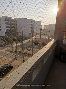 [Hot Item] 10X100m 50mm Black / Sand HDPE Bird Netting Pigeon Netting for Balconies