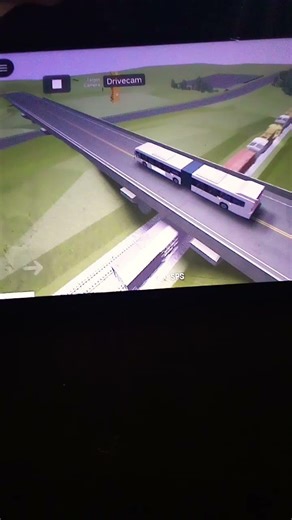 What did mrs frizzle do #roblox