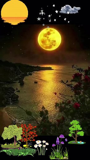 Breathtaking Animated Nature Scenes for Relaxation