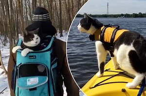 Cat on leash goes kayaking, hiking and more