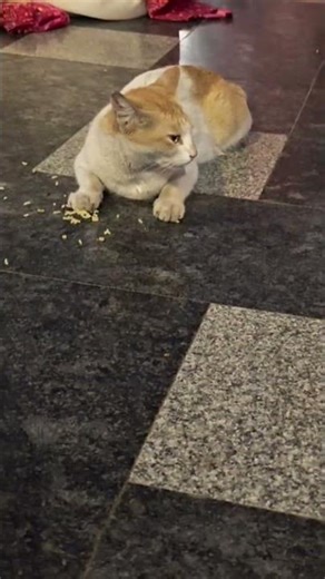 # १ मिलियन फालोवर पूरे हुए हैं....।