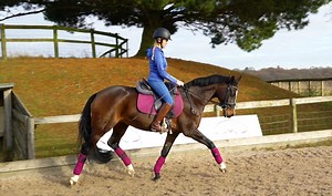 18K views · 281 reactions | Join us on Dressage Training TV and watch the recently uploaded Milly & Ella Training session. Find our how Milly is getting on having upgraded from a 14hand pony to a powerful moving 16hand horse. | DressageTraining.TV | Facebook