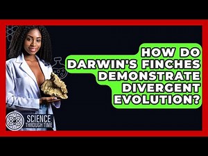 How Do Darwin's Finches Demonstrate Divergent Evolution? - Science Through Time
