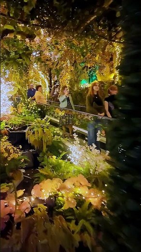 Sparkling Christmas at Intratuin Duiven