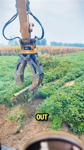 150K views · 429 reactions | Peanut harvesting process using bucket with clamp | Woodform Crafts | Facebook