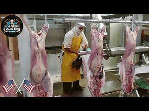 Shocking ! Massive Goat Farms You've Never Seen Before — A Look Inside The Giant Meat Industry